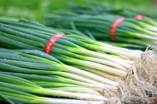 大善人吃瓜,揭秘慈善界的甜蜜诱惑