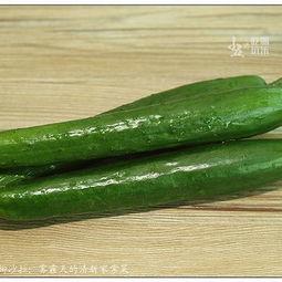 瓜柳种子怎么吃