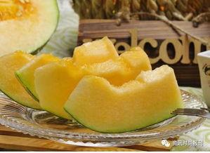 晚餐吃一整个哈密瓜,甜蜜滋味尽享健康生活