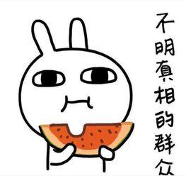 吃瓜穿稀笑话,揭秘生活中的趣味笑话