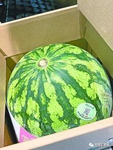 武汉的夏天吃瓜,解暑消夏的武汉特色美食之旅