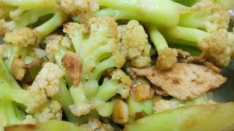 长沙职校吃瓜,揭秘校园里的热点风云