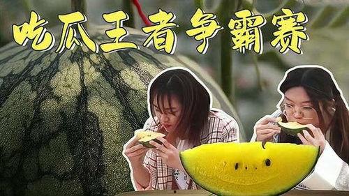 日常吃瓜者,吃瓜群众的日常娱乐盛宴