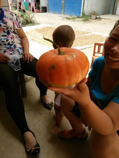 新新布吃瓜,揭秘娱乐圈最新热点事件