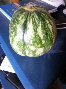 吃瓜展开,揭秘娱乐圈幕后真相