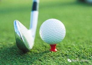 吃瓜 高尔夫球