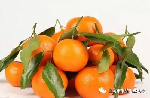 小橘瓜如何吃,轻松解锁美味新体验