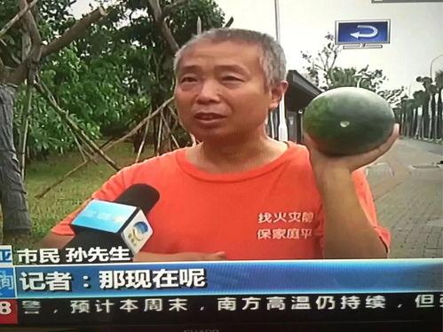 近日吃瓜热门事件,揭秘近期网络热议事件背后的真相