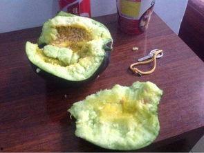 吃瓜吃瓤俗语叫什么,探寻“吃瓜吃瓤”的俗语智慧