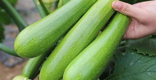 水果兰瓜怎么吃,解锁水果新吃法