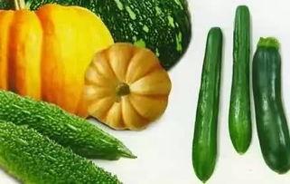 吃瓜鬼手,网络红人的神秘魅力与影响力