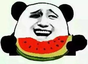 吃瓜群众代表我,吃瓜群众视角下的娱乐圈风云录