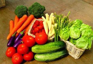 小愚吃瓜教程,轻松掌握瓜界秘籍，畅享美食之旅