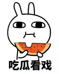 吃瓜zzt,zzt视角下的社会现象解析