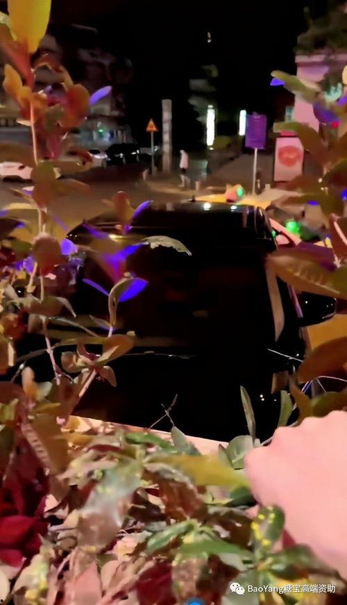 路虎门吃瓜,一场豪门恩怨的瓜界盛宴