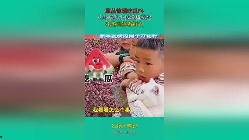 吃瓜看歌曲,跟随音乐节奏，一起“瓜”翻世界