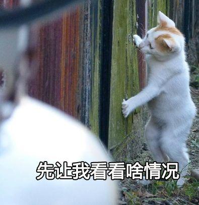 大佬吃瓜表情包,揭秘网络红人的魅力与幽默