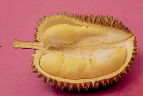 吃榴莲哈密瓜视频,一场甜蜜的味蕾之旅